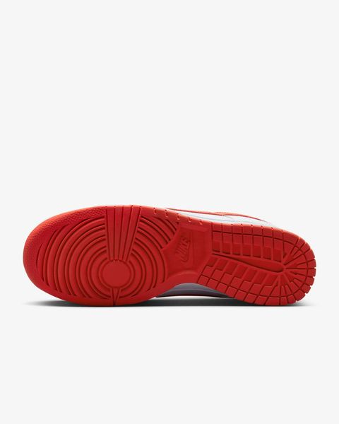 Кросівки Nike Dunk Low Retro | DV0831-103 DV0831-103-43-store фото