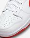 Кросівки Nike Dunk Low Retro | DV0831-103 DV0831-103-43-store фото 7
