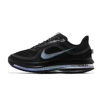 Чоловічі кросівки Nike Pegasus Premium 'Black Metallic Silver'| HQ2592-005 фото