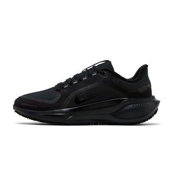 Жіночі кросівки Nike Air Zoom Pegasus 41 GORE-TEX 'Black Anthracite'| FQ1357-001 FQ1357-001 фото