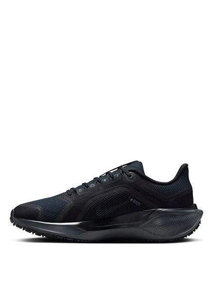Жіночі кросівки Nike Air Zoom Pegasus 41 GORE-TEX 'Black Anthracite'| FQ1357-001 FQ1357-001 фото