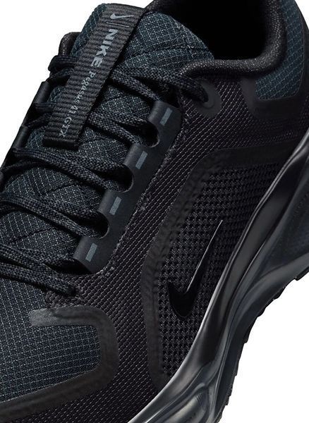 Жіночі кросівки Nike Air Zoom Pegasus 41 GORE-TEX 'Black Anthracite'| FQ1357-001 FQ1357-001 фото