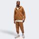Чоловічі штани Jordan Brooklyn Fleece | FJ7779-281 FJ7779-281 фото 3