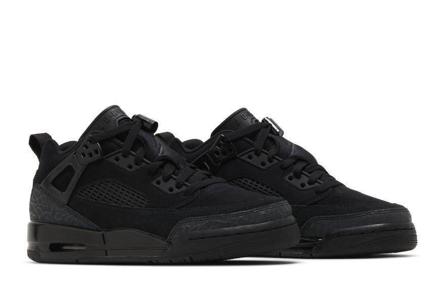 Підліткові кросівки Jordan Spizike Low GS 'Black Cat'| FQ3950-001 FQ3950-001 фото
