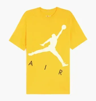 Чоловіча футболка Jordan Jumpman Air | CV3425-739 фото