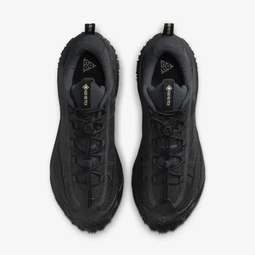 Чоловічі кросівки Nike ACG Mountain Fly 2 Low GORE-TEX 'Dark Smoke Grey'| HF6245-001 HF6245-001 фото