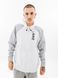 Чоловіча вітровка Nike Windrunner | FB1627-100 FB1627-100 фото 1