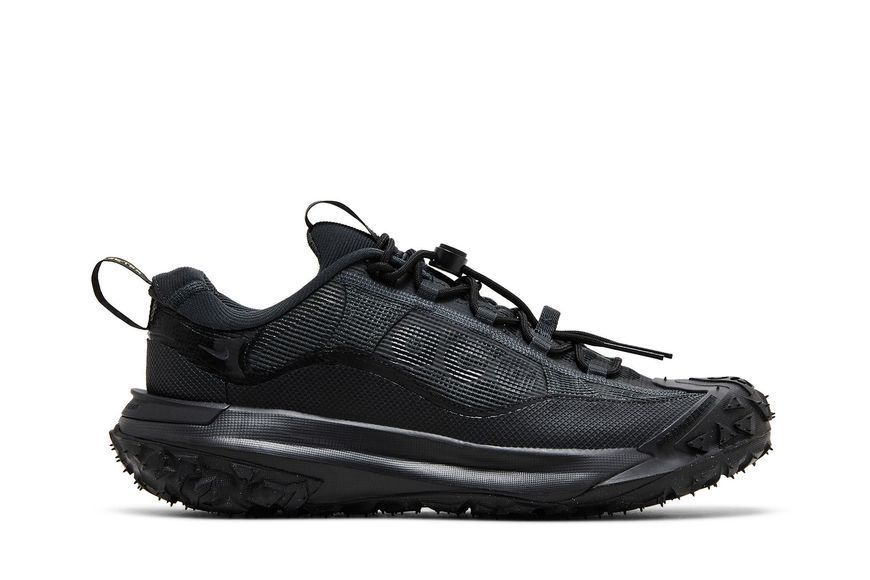 Чоловічі кросівки Nike ACG Mountain Fly 2 Low GORE-TEX 'Dark Smoke Grey'| HF6245-001 HF6245-001 фото