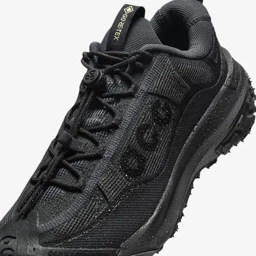 Чоловічі кросівки Nike ACG MOUNTAIN FLY 2 LOW GTX | HF6245-001 hf6245-001 фото