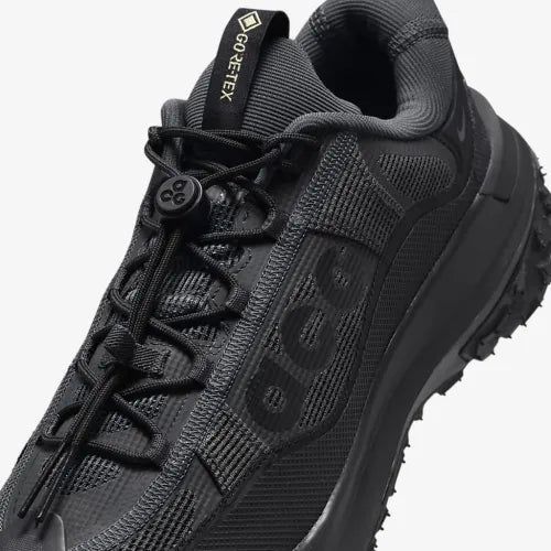 Чоловічі кросівки Nike ACG MOUNTAIN FLY 2 LOW GTX | HF6245-001 hf6245-001 фото