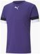 Футболка unisex Puma Teamrise Jersey Violet | 704932-10 704932-10 фото