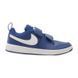 Дитячі кросівки Nike Pico 5 PSV | AR4161-400 AR4161-400 фото 2