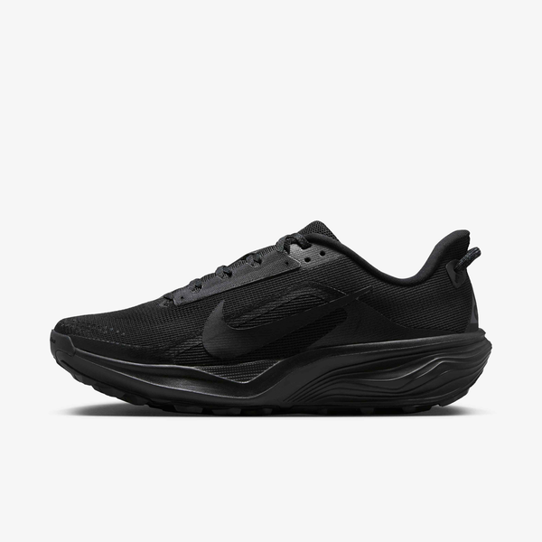 Чоловічі кросівки Nike ACG Pegasus Trail | HV8116-002 HV8116-002 фото