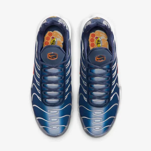 Чоловічі кросівки Nike Air Max Plus | IQ0286-410 фото