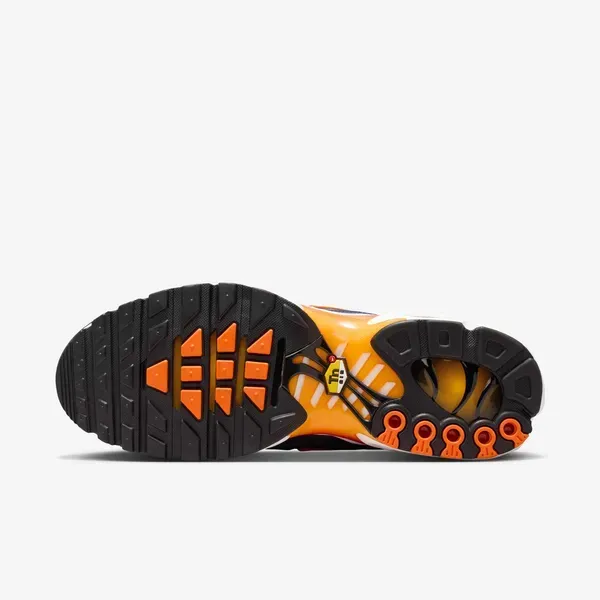 Чоловічі кросівки Nike Air Max Plus | IQ0286-410 фото