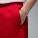 Чоловічі шорти Jordan Brooklyn Fleece Graphic Shorts | IB7910-687 фото 4