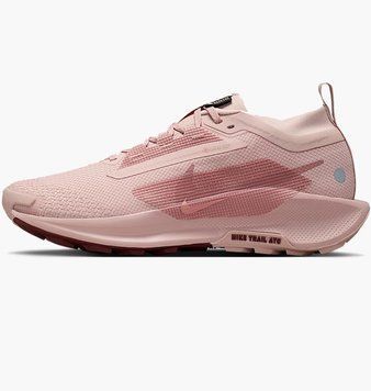 Жіночі кросівки Nike Wmns Pegasus Trail 5 GORE-TEX 'Pink Oxford'| FQ0912-601 FQ0912-601 фото