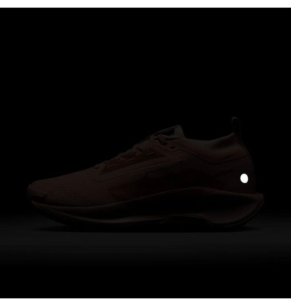Жіночі кросівки Nike Pegasus Trail 5 GORE-TEX 'Pink Oxford'| FQ0912-601 FQ0912-601 фото