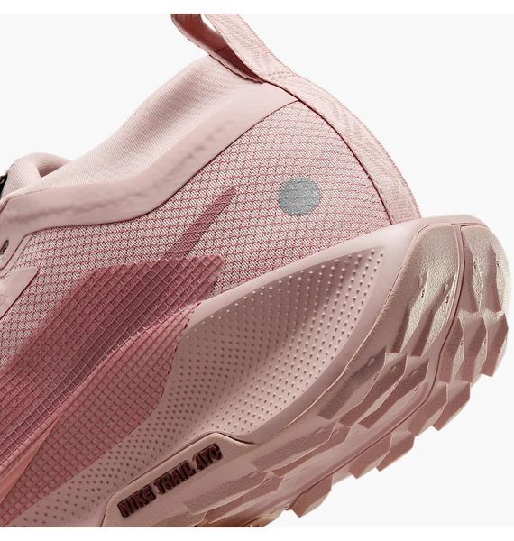 Жіночі кросівки Nike Pegasus Trail 5 GORE-TEX 'Pink Oxford'| FQ0912-601 FQ0912-601 фото