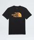 Чоловіча футболка The North Face Evolution Half Dome Short-Sleeve | NF0A8B6JCU31