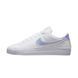 Жіночі кросівки Nike Court Legacy Next Nature 'White Iridescent'| FD0820-100 FD0820-100 фото 1