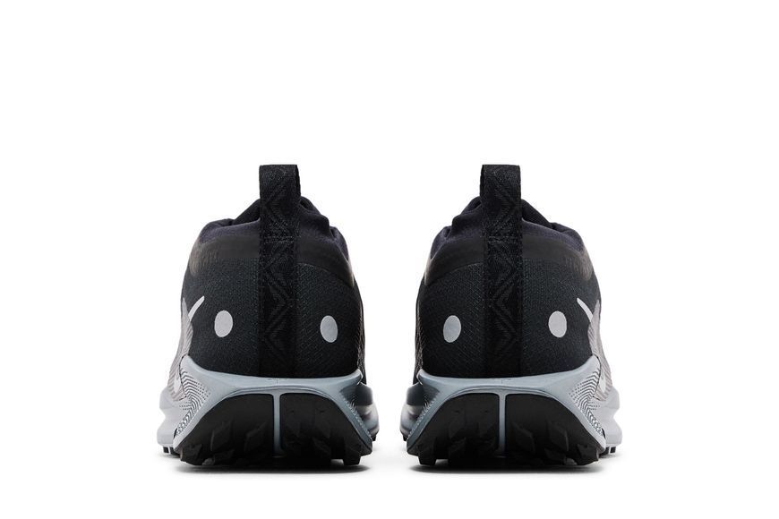 Жіночі кросівки Nike Pegasus Trail 5 GORE-TEX 'Black Wolf Grey'| FQ0912-001 FQ0912-001 фото