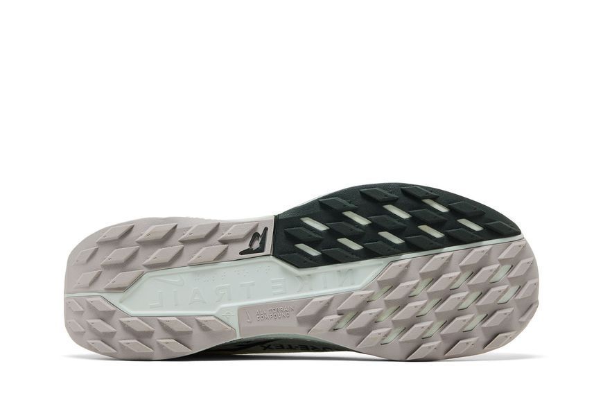 Чоловічі кросівки Nike Pegasus Trail 5 GORE-TEX 'Light Silver Sequoia'| FQ0908-102 FQ0908-102 фото