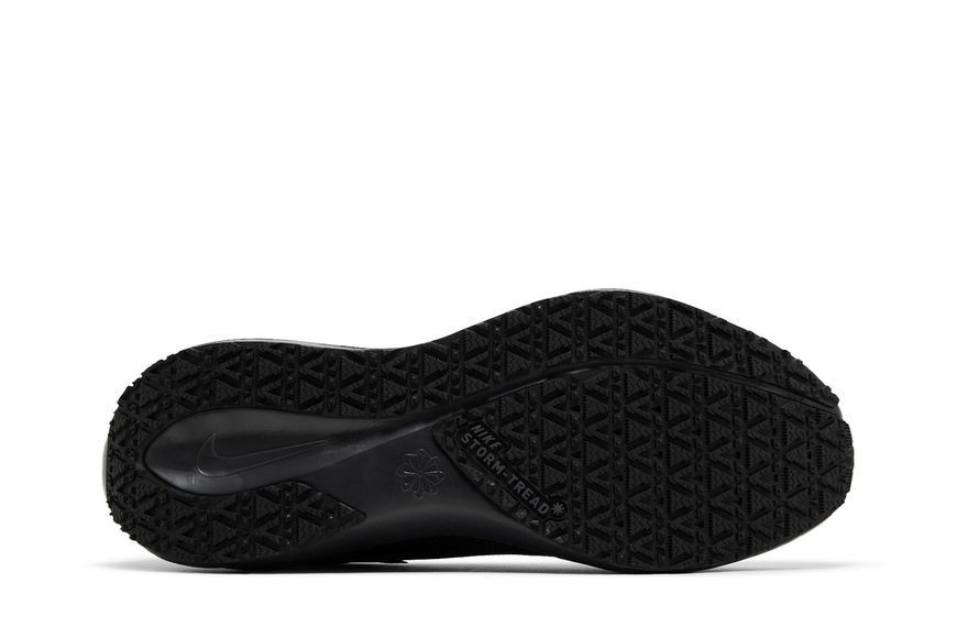 Чоловічі кросівки Nike Air Zoom Pegasus 41 GORE-TEX 'Black Anthracite'| FQ1356-001 FQ1356-001 фото