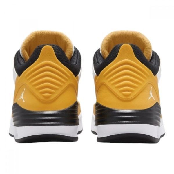 Чоловічі кросівки Jordan Max Aura 5 | DZ4353-701 DZ4353-701 фото
