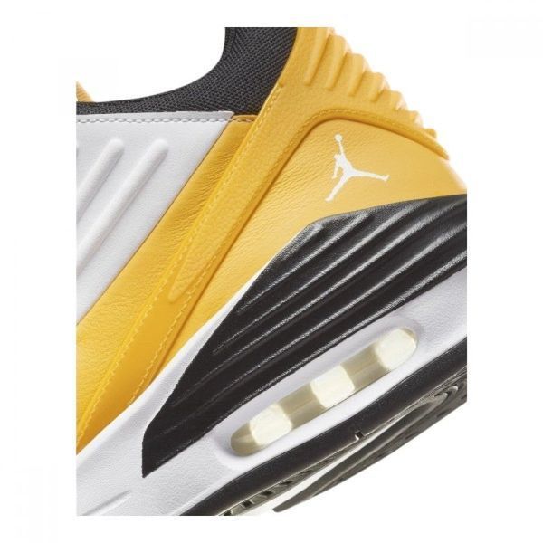 Чоловічі кросівки Jordan Max Aura 5 | DZ4353-701 DZ4353-701 фото