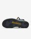 Сандалі Nike ACG Air Deschutz+ SE | DO1020-400 DO1020-400 фото 1