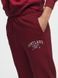 Чоловічі штани Puma | 15235557-CABERNET-PRINT:P 15235557-CABERNET-PRINT:P фото 2