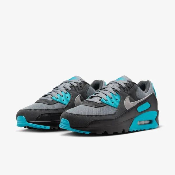 Кросівки Nike Air Max 90 'Cool Grey Dusty Cactus'| DM0029-013 DM0029-013 фото