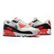 Кросівки Nike Air Max 90 GORE-TEX 'Infrared'| FD5810-101 FD5810-101 фото 2