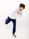 Чоловічий худі Australian Zoom Hoodie Fleece White | HCUFE0060-002 HCUFE0060-002 фото 5