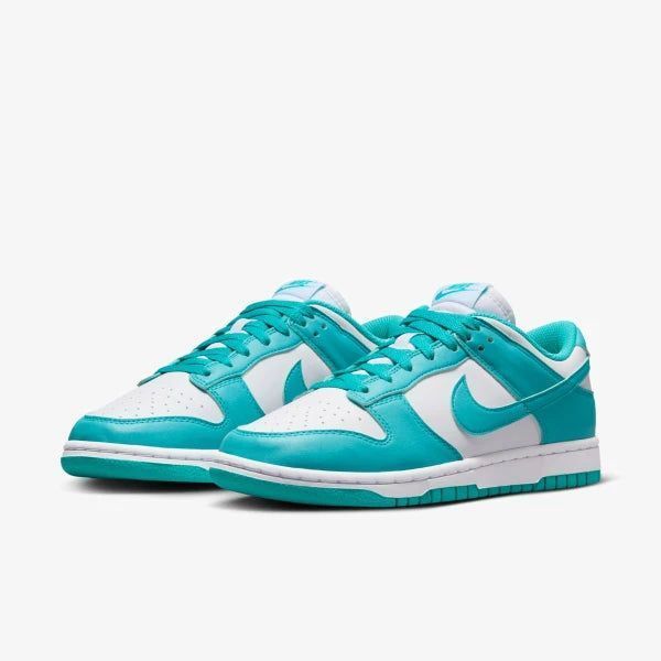 Кросівки Nike Wmns Dunk Low Next Nature 'Dusty Cactus'| DD1873-105 DD1873-105 фото