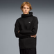 Толстовка Puma Толстовка EVOSTRIPE FZ Hoodie Puma L Чорний | 69219001 69219001 фото 1