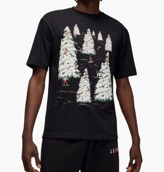 Чоловіча футболка Air Jordan Brooklyn Holiday Gfx Black | HQ9031-010 фото
