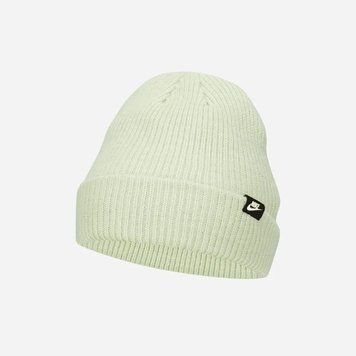 Шапка Nike Terra Futura Beanie | FB6525-343 FB6525-343 фото
