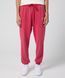 Чоловічі штани Jordan Essentials Statement Wash Fleece | FB7298-619 FB7298-619 фото 1