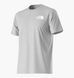 Чоловіча футболка The North Face Evolution Box Nse Grey | NF0A8B6KCQI1