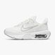 Кросівки Nike Wmns Air Max Interlock 'Summit White Light Smoke Grey'| DQ2904-100 DQ2904-100 фото 1
