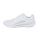 Жіночі кросівки Nike Downshifter 13 'White Platinum Tint'| FD6476-101 FD6476-101 фото 1