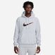Чоловіче худі Nike Nsw Sp Flc Bb Grey | FN0247-012 FN0247-012 фото 1