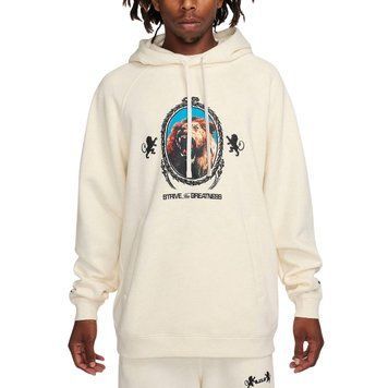 Чоловічий худі Nike LJ M NK BRSH PO HOODIE | FB7123-027 FB7123-027 фото