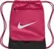 Рюкзак Nike Brasilia 9.5 | DM3978-634 фото 1