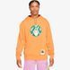 Чоловіча толстовка Jordan M J SPRT DNA WASHED PO HOODIE | CZ4835-858 фото 1