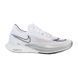 Чоловічі кросівки Nike ZoomX Streakfly 'White Metallic Silver'| DJ6566-101 DJ6566-101 фото 3