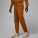 Чоловічі штани Jordan Brooklyn Fleece | FV7277-228 FV7277-228 фото 1