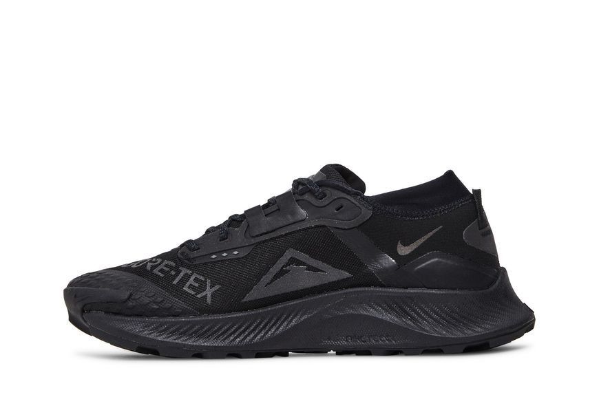 Чоловічі кросівки Nike Pegasus Trail 3 GTX 'Triple Black'| DC8793-001 DC8793-001 фото